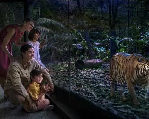 夜行動物展區