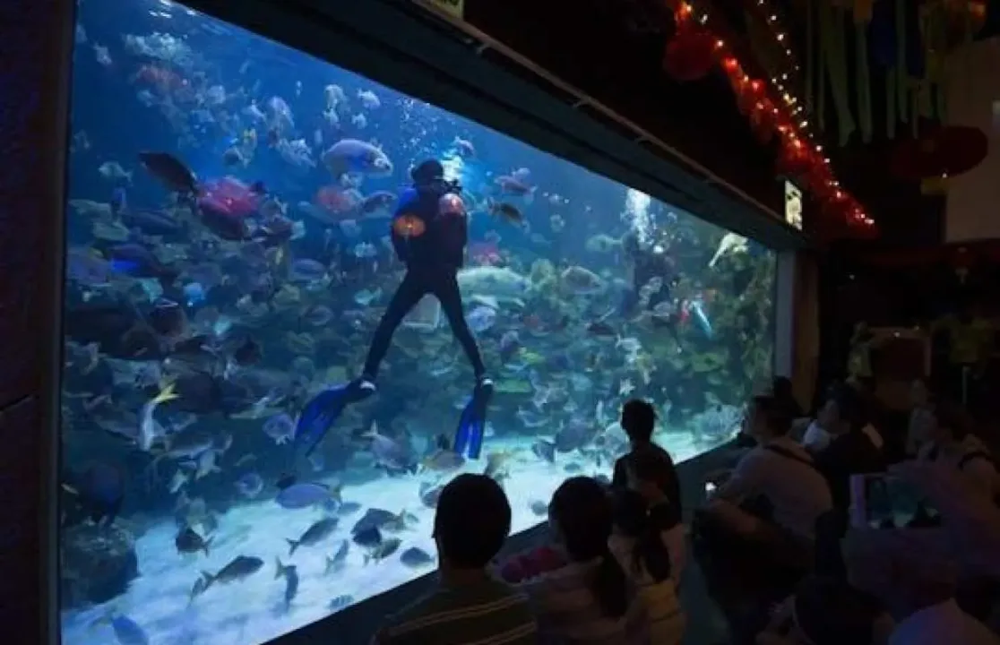 Aquaria KLCC海底隧道