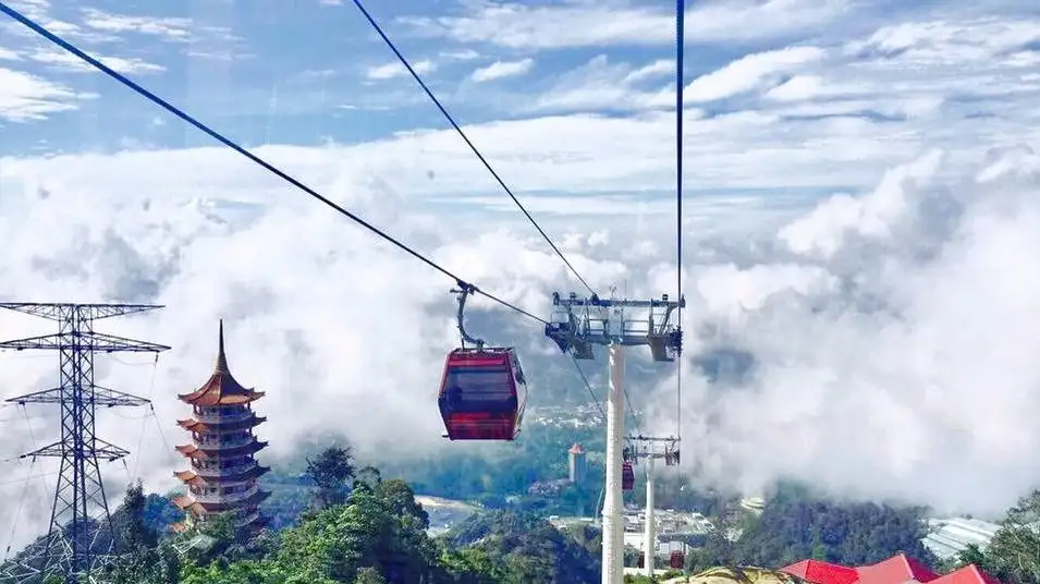 雲天纜車俯瞰熱帶雨林