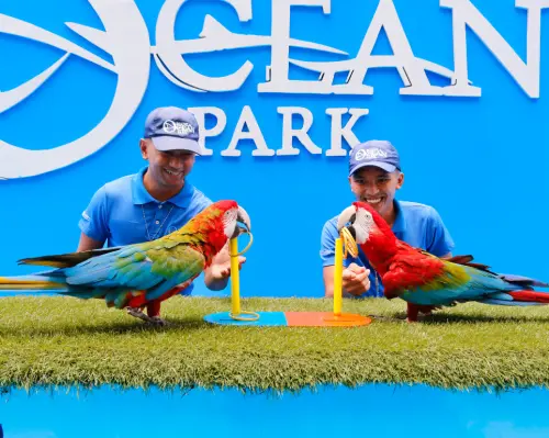 海獅表演