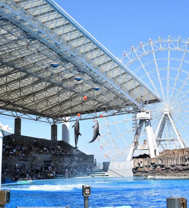 名古屋港水族館大型魚缸
