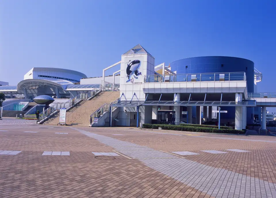 海豚展示池