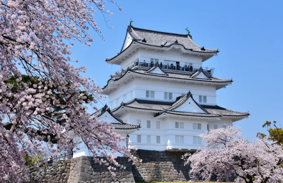 小田原城天守閣