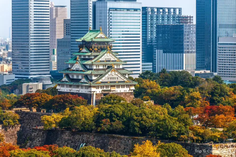 天守閣展望台俯瞰大阪市景
