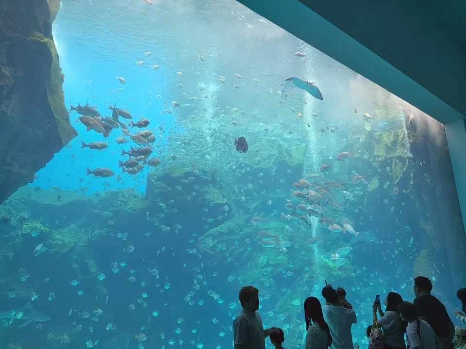 Xpark館內展區