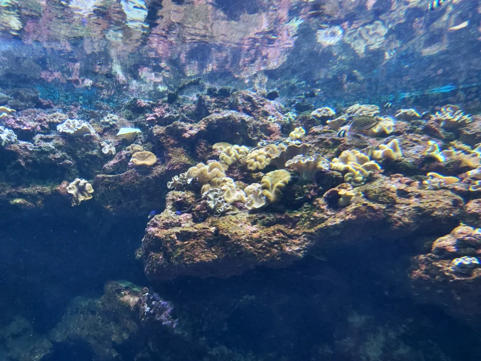 沉浸式燈光展示