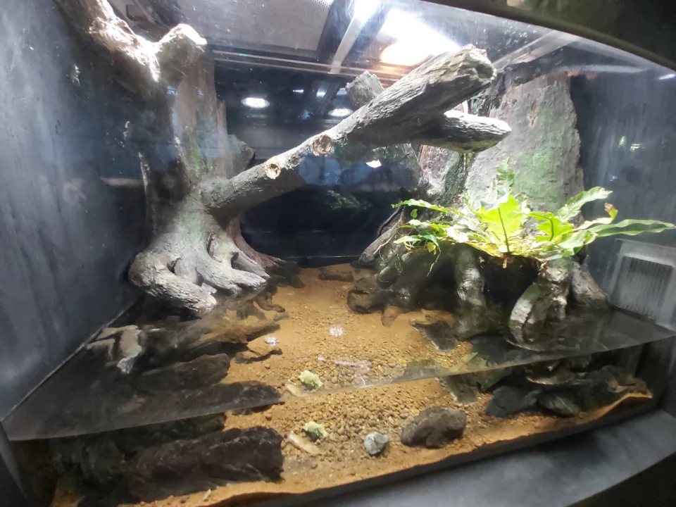 水族館主題展區