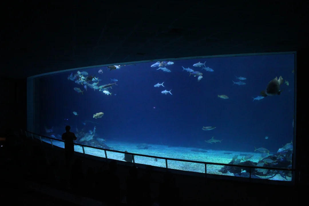 世界水域館大洋池