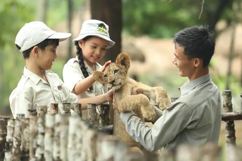 富國島珍珠野生動物園獅子展區