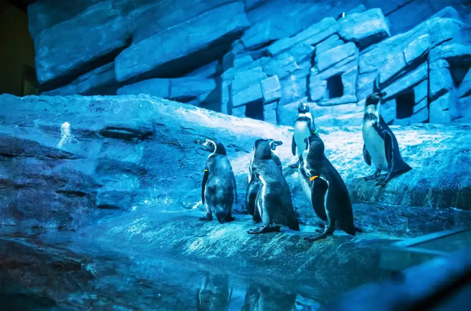 海洋生物展區