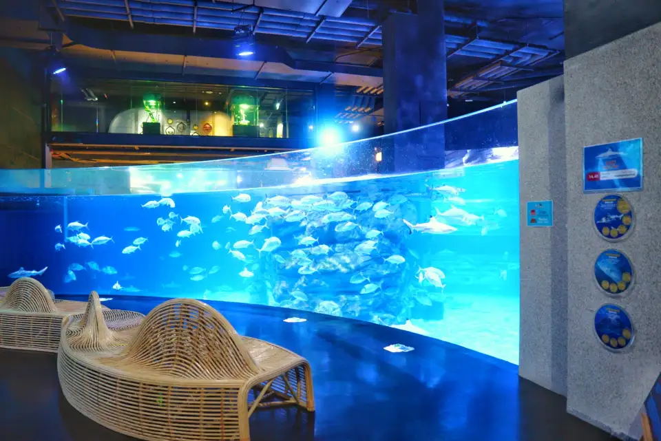 水族館內大型魚缸