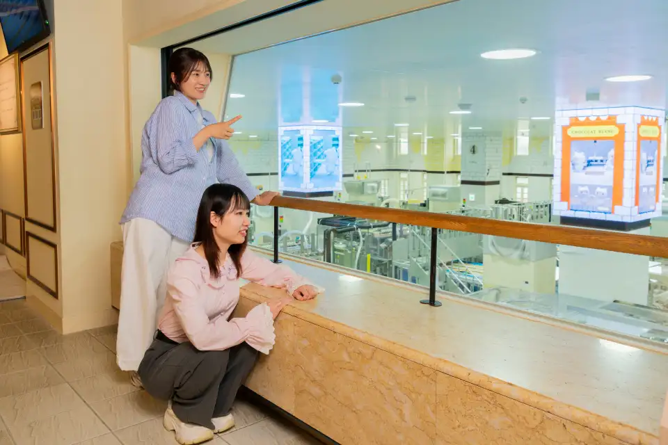 朱古力製作展示