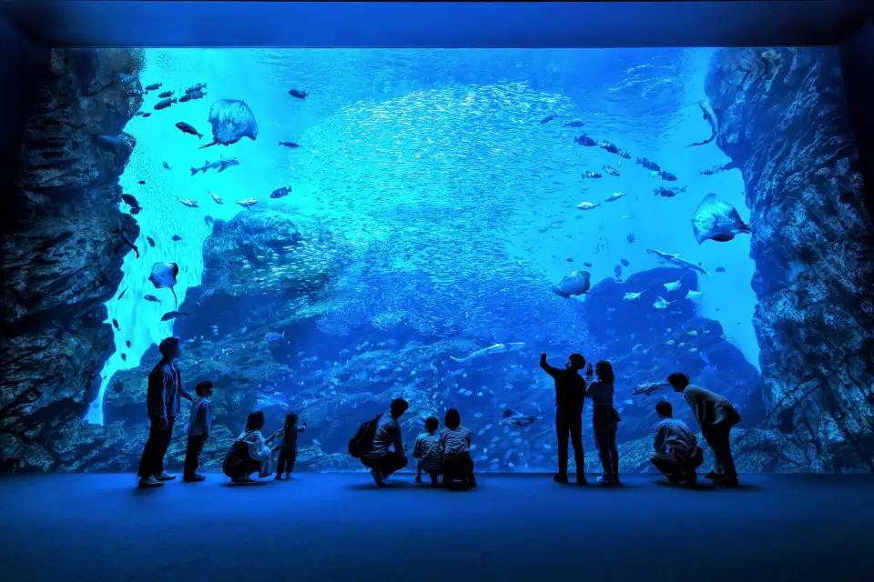 企鵝海獅展示區