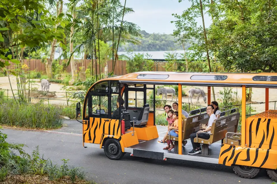新加坡動物園開放式展區