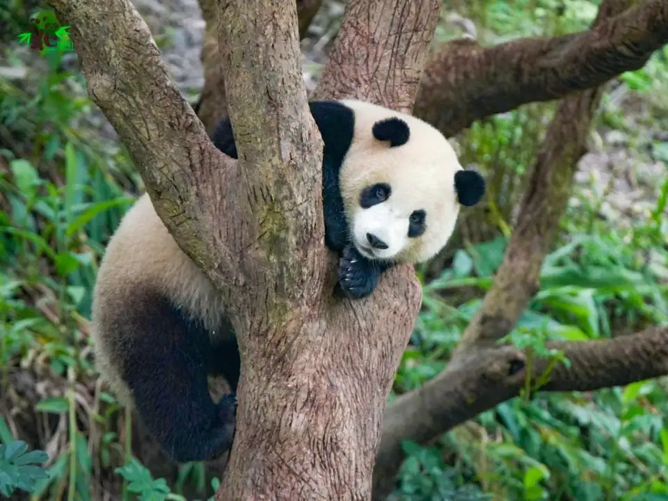 台北市立動物園園區入口
