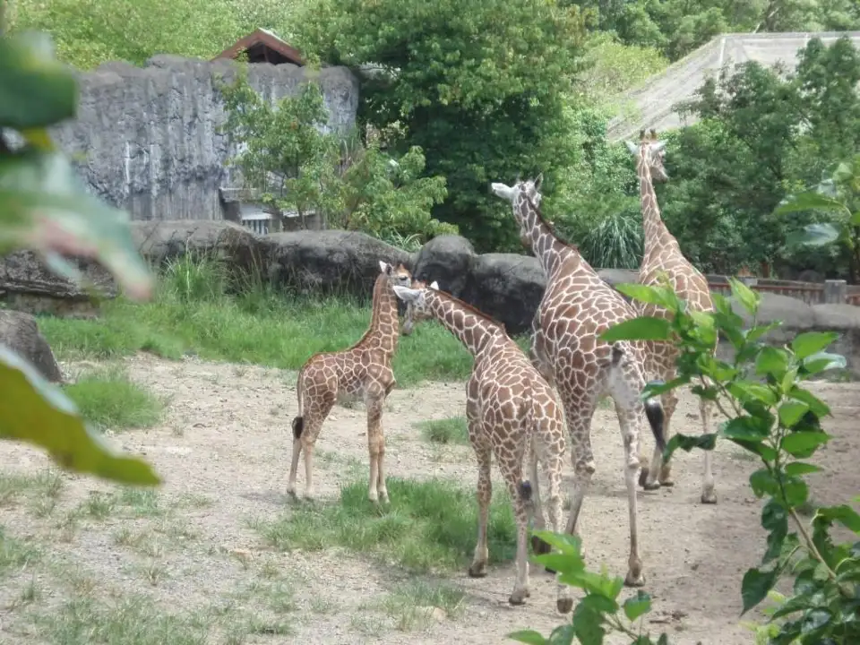 動物園內展區一景