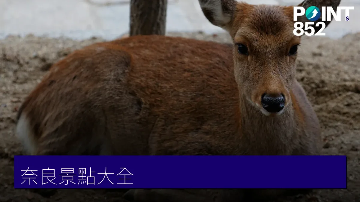 奈良景點